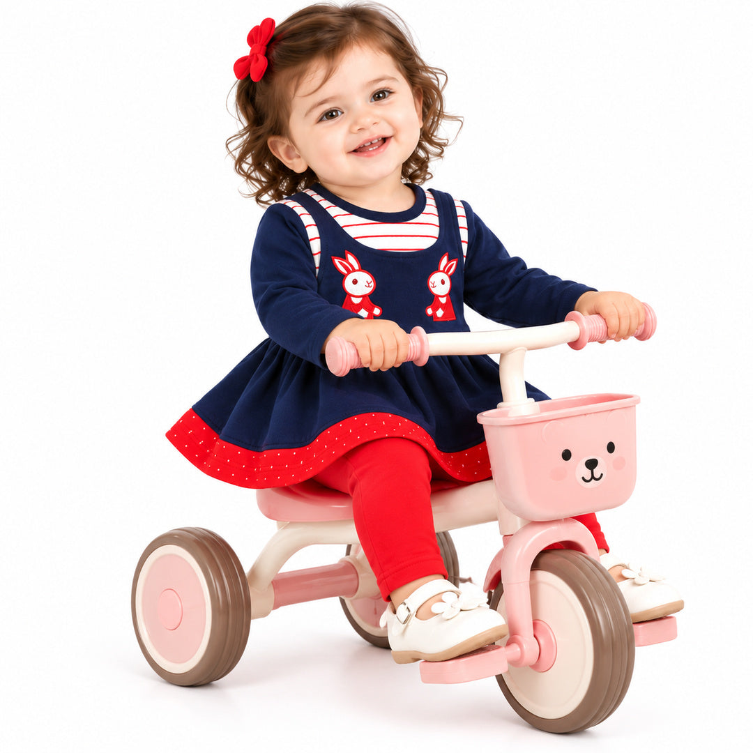 Baby Girls Navy Blue Rabbit Embroidered Frock & Pants Set